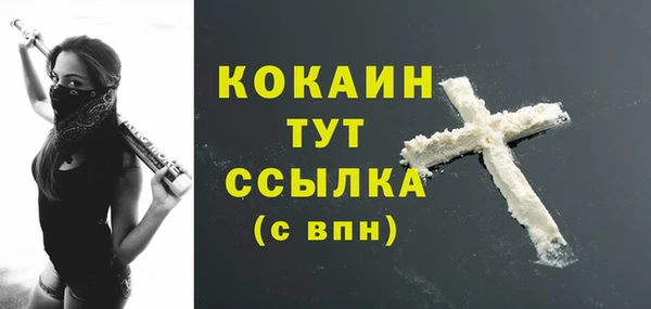 дурь Снежногорск