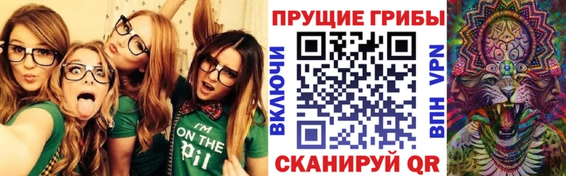 закладки Азов Псилоцибиновые грибы Psilocybine cubensis