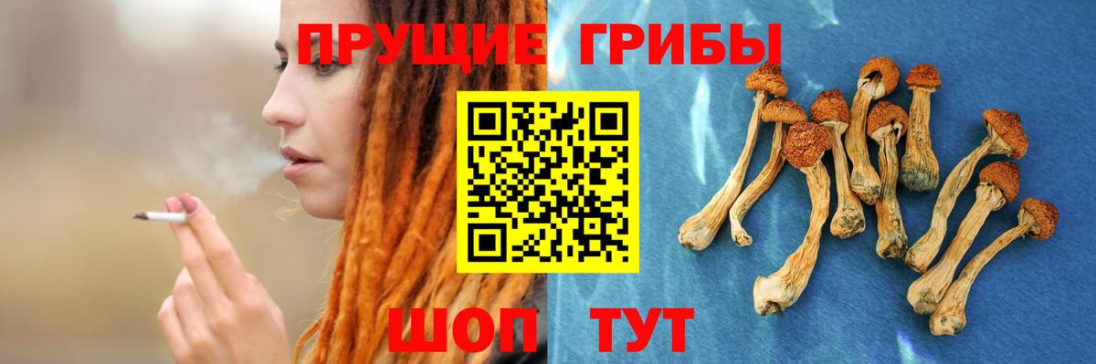 Азов  Галлюциногенные грибы GOLDEN TEACHER  даркнет сайт  Вход с VPN 