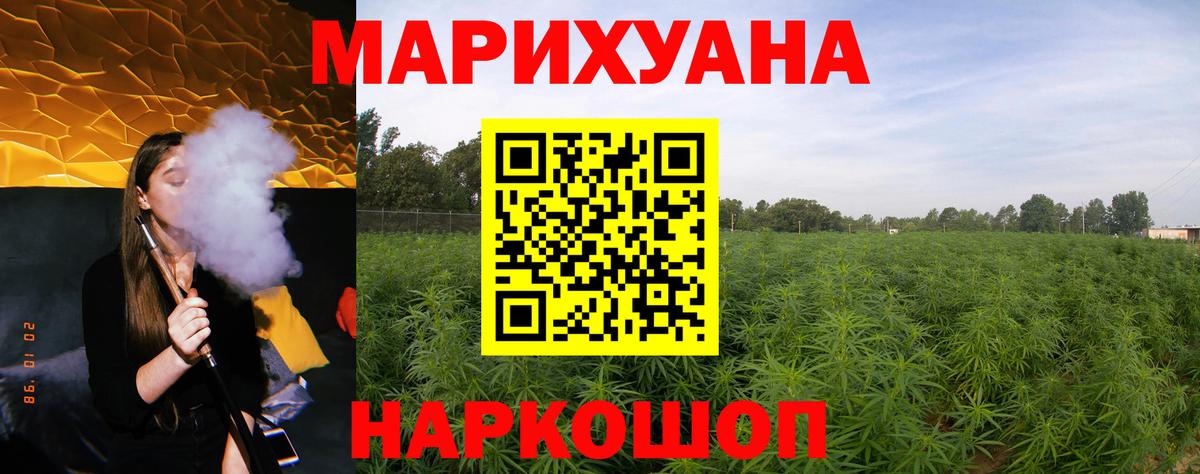Шишки марихуана марихуана Азов